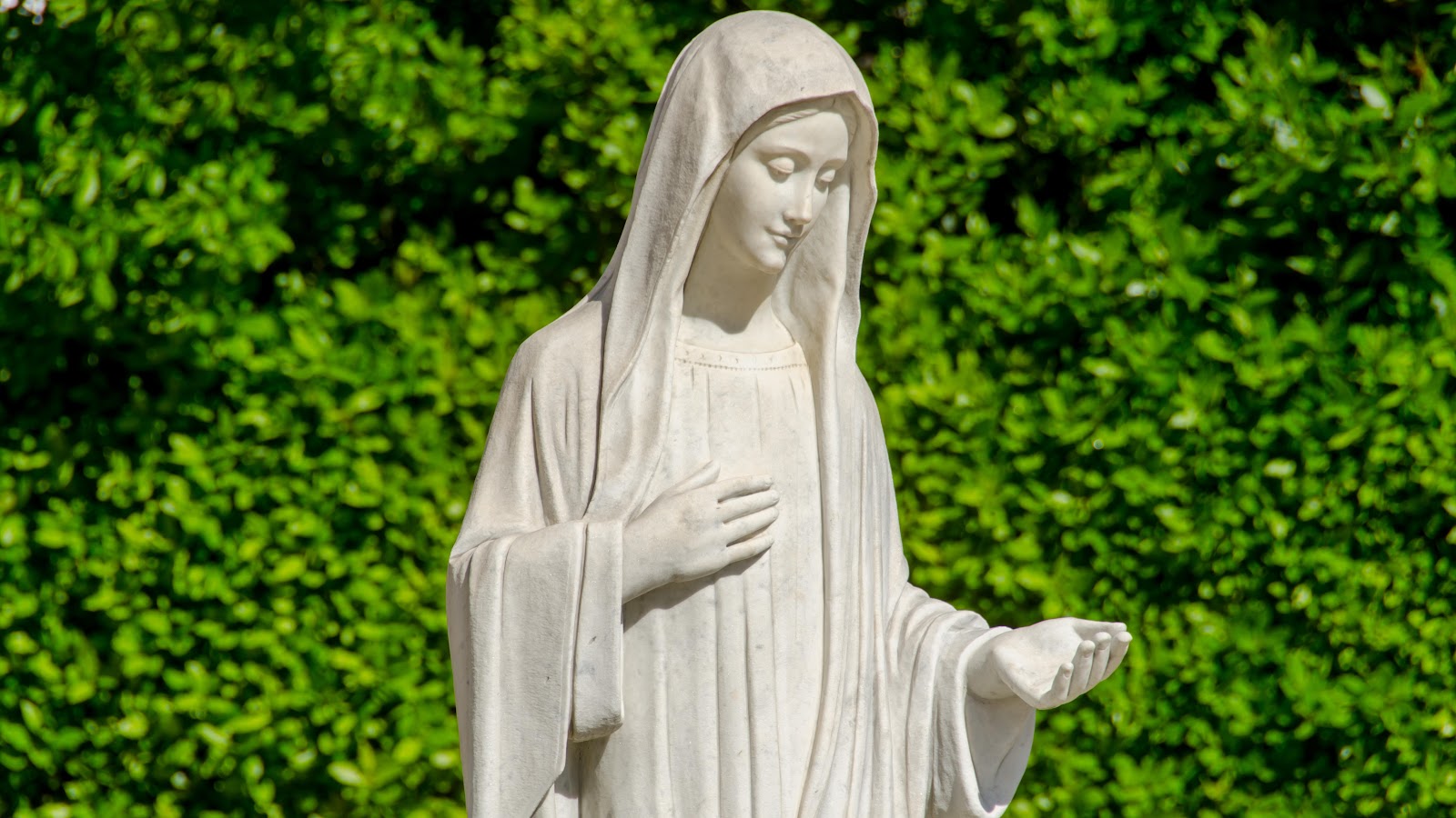 Virgen de Medjugorje fondo verde