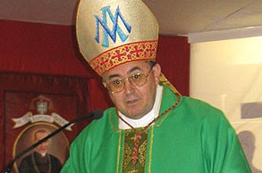 cardinal-vinko-puljic-sarajevo-medjugorje-commission-e1345512366890